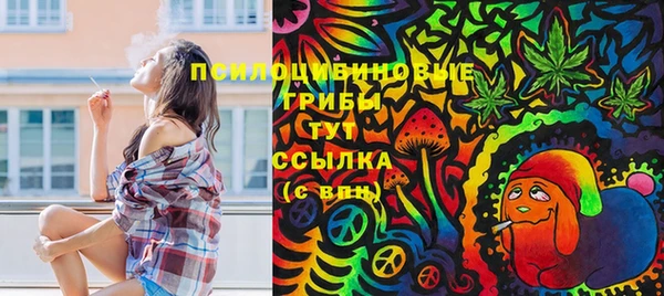 винт Алзамай