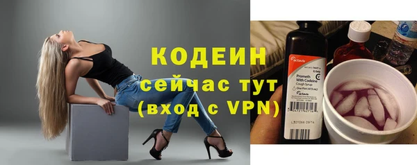 гидра Надым