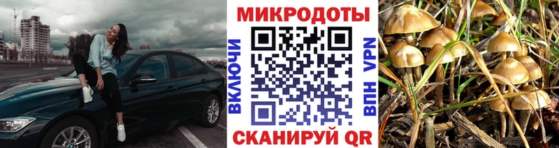 Псилоцибиновые грибы мухоморы  даркнет сайт  Суджа 