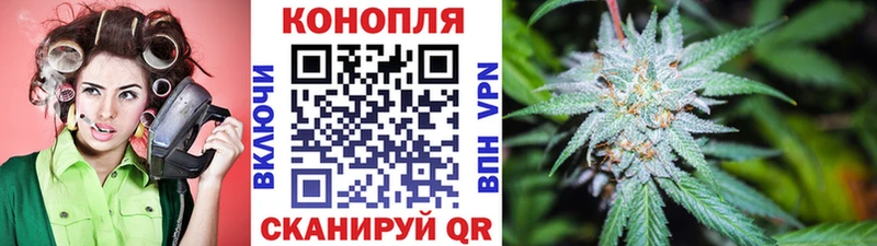 кракен ТОР  купить  цена  Суджа  Канабис планчик 